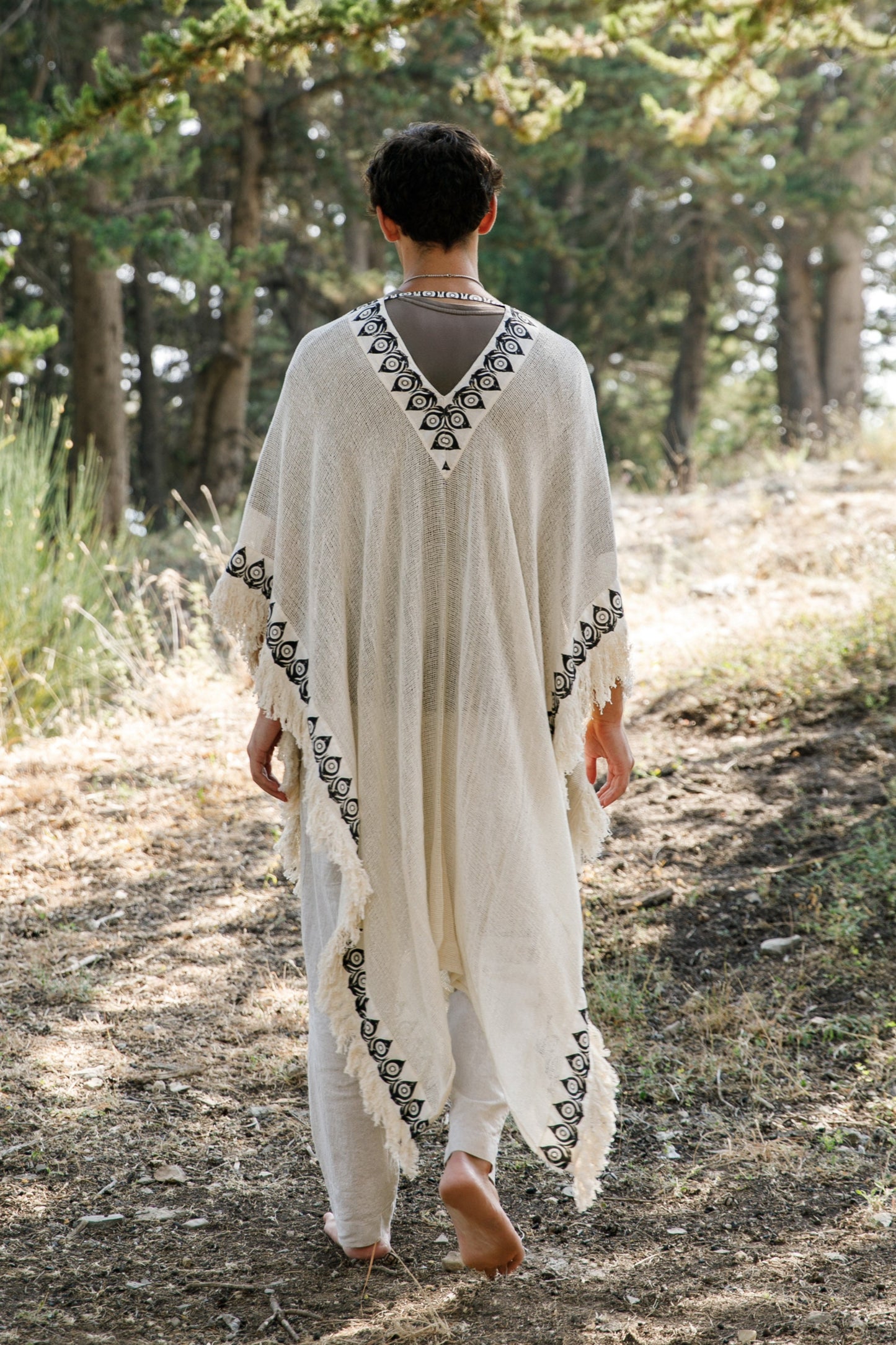 Light Seeker II